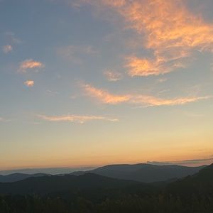 Meet your Posher, Lucy